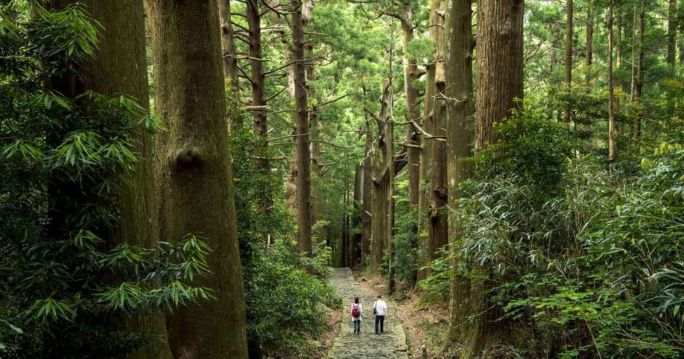 Walk Japan - Kumano Kodo Trail - Explore - Japan - Image 9