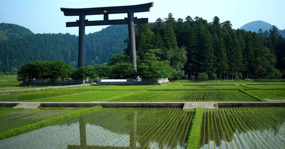 Walk Japan - Kumano Kodo Trail - Explore - Japan - Image 11