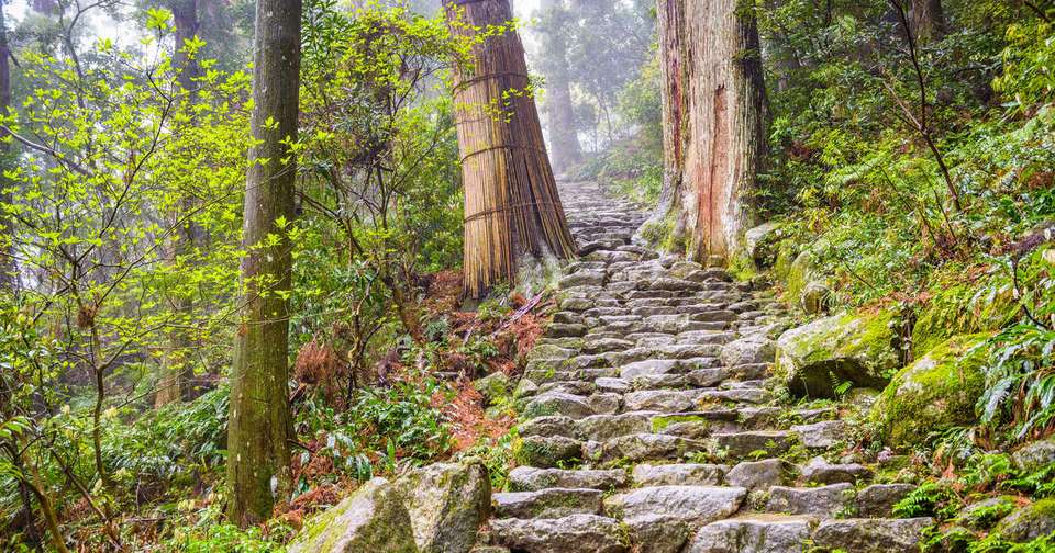 Walk Japan - Kumano Kodo Trail - Explore - Japan - Image 15