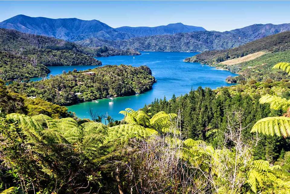 Walk New Zealand's Abel Tasman & Queen Charlotte - Intrepid Travel - New Zealand - Image 1