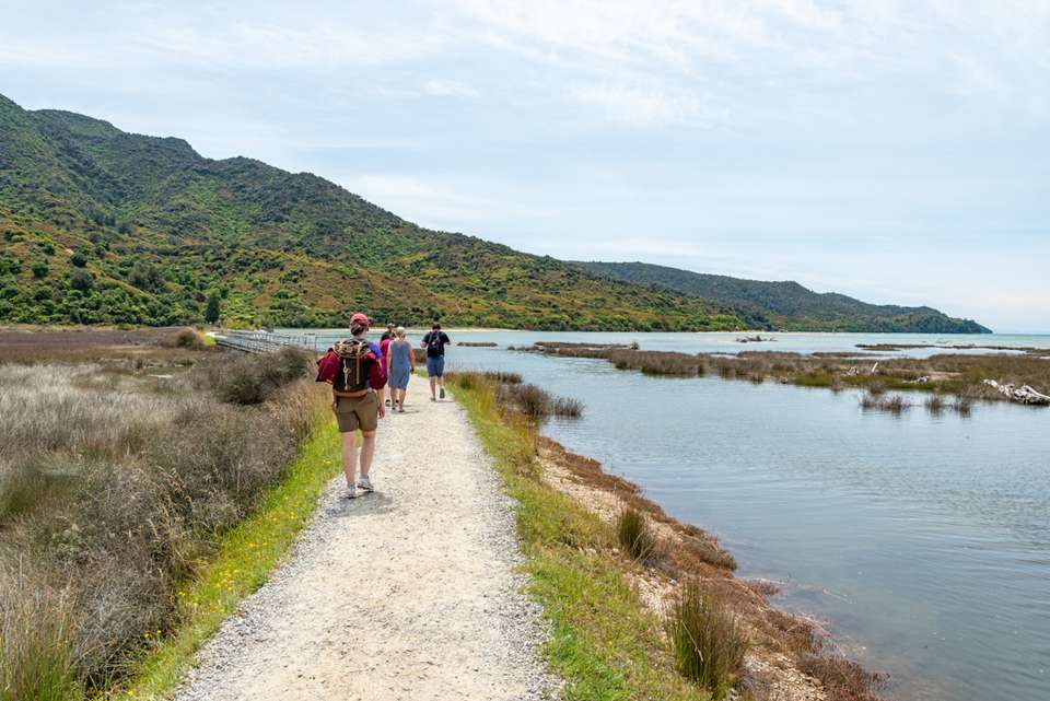 Walk New Zealand's Abel Tasman & Queen Charlotte - Intrepid Travel - New Zealand - Image 5