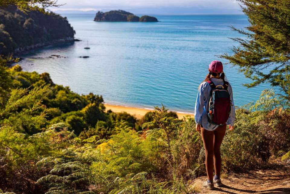 Walk New Zealand's Abel Tasman & Queen Charlotte - Intrepid Travel - New Zealand - Image 9