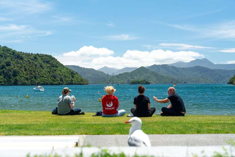 Walk New Zealand's Abel Tasman & Queen Charlotte - Intrepid Travel - New Zealand - Image 11