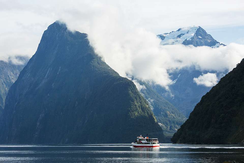 Walk New Zealand's Fiordland National Park - Intrepid Travel - New Zealand - Image 6