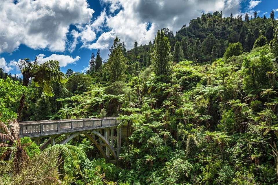 Walk New Zealand's Tongariro Crossing - Intrepid Travel - New Zealand - Image 6