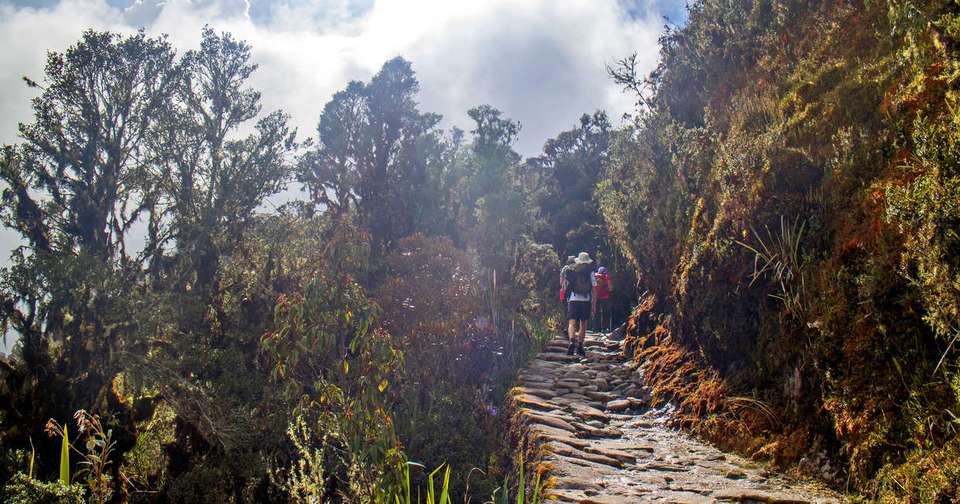 Walk Peru's Inca Trail and Palccoyo Rainbow Mountain - Explore - Peru - Image 8