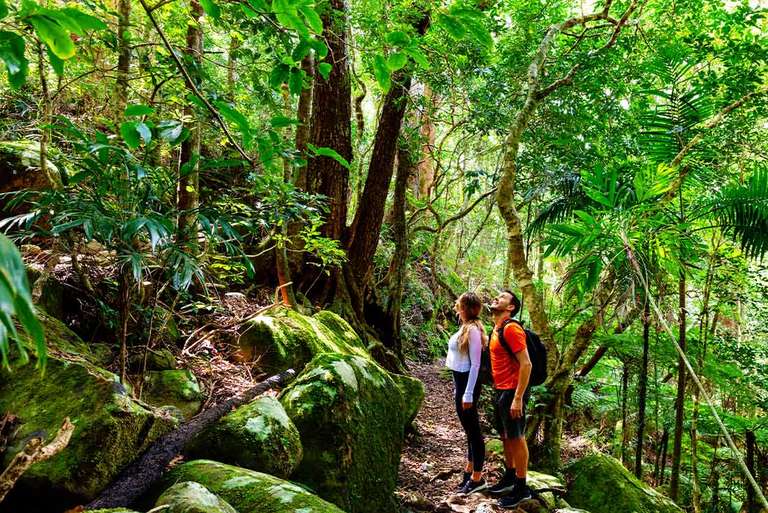 Walk Queensland's Scenic Rim trip - alternative tour available