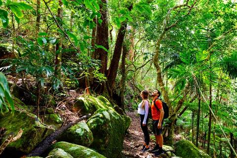 Walk Queensland's Scenic Rim - Spring Tours