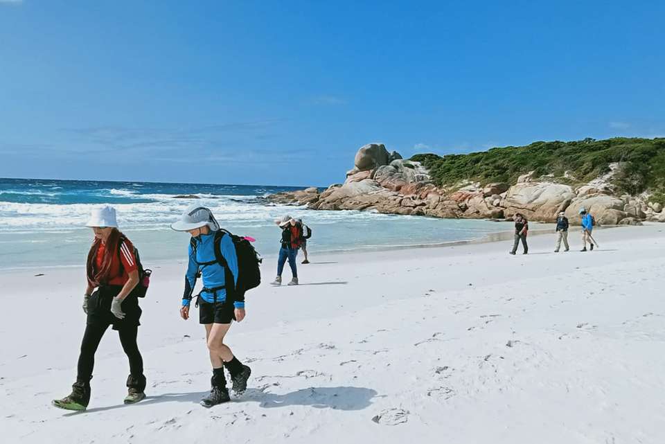 Walk Tasmania's Bay of Fires - Intrepid Travel - Australia - Image 2