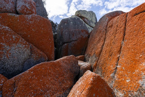 Image 3 of 13