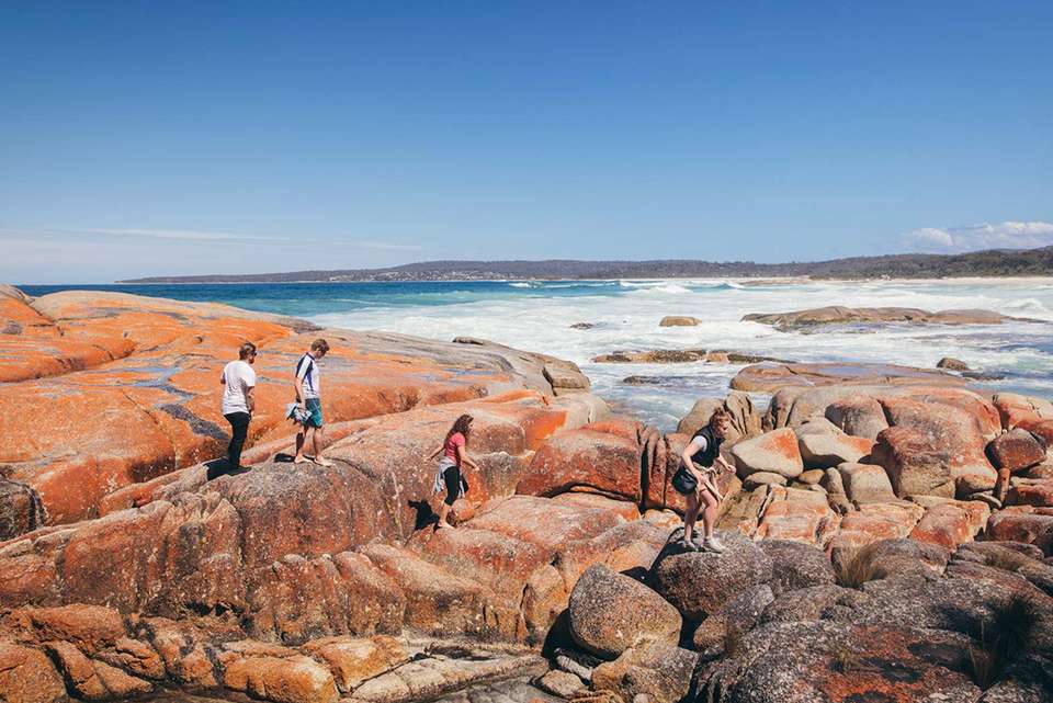 Walk Tasmania's Bay of Fires - Intrepid Travel - Australia - Image 4