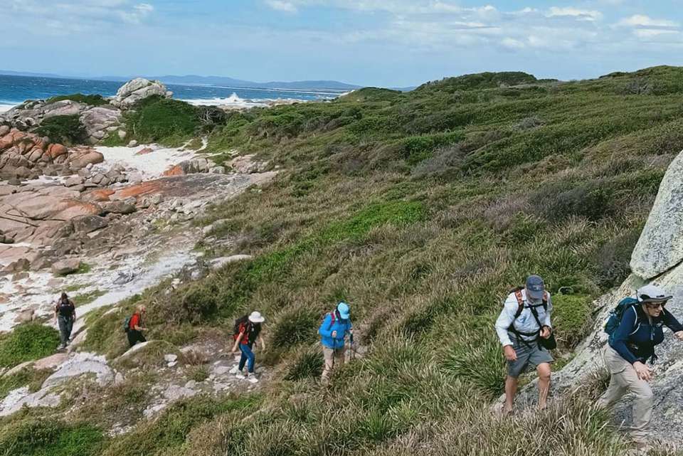 Walk Tasmania's Bay of Fires - Intrepid Travel - Australia - Image 10