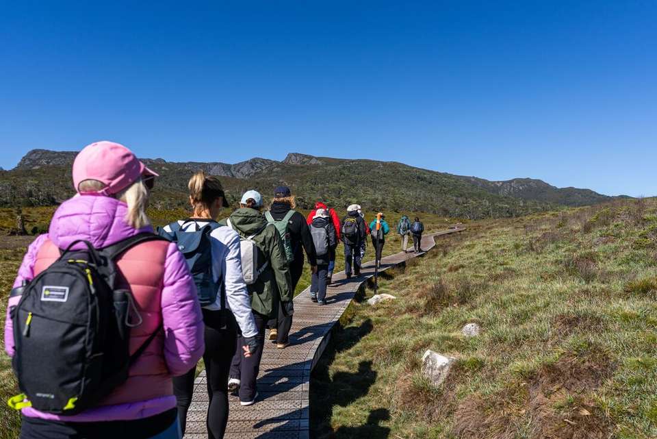 Walk Tasmania's Tarkine & Cradle Mountain - Intrepid Travel - Australia - Image 6