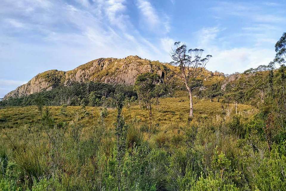 Walk Tasmania's Tarkine & Cradle Mountain - Intrepid Travel - Australia - Image 8