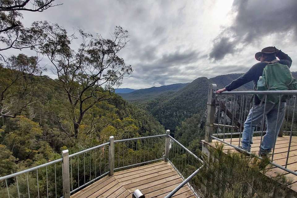 Walk Tasmania's Tarkine & Cradle Mountain - Intrepid Travel - Australia - Image 9