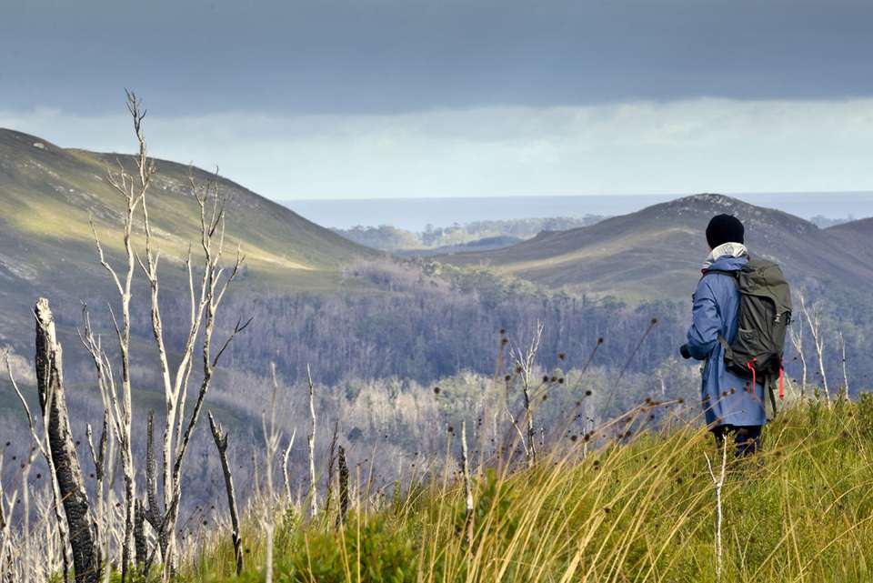 Walk Tasmania's Tarkine & Cradle Mountain - Intrepid Travel - Australia - Image 10
