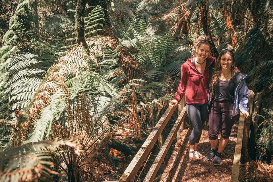 Walk Tasmania's Tarkine & Cradle Mountain - Intrepid Travel - Australia - Image 14