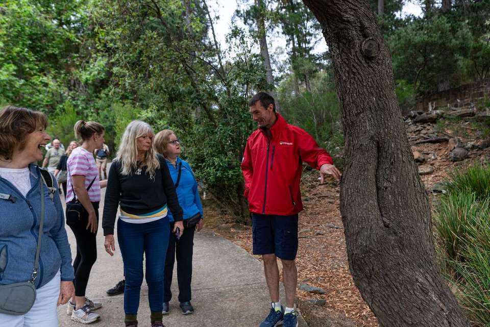 Walk Tasmania's Tarkine & Cradle Mountain - Intrepid Travel - Australia - Image 15