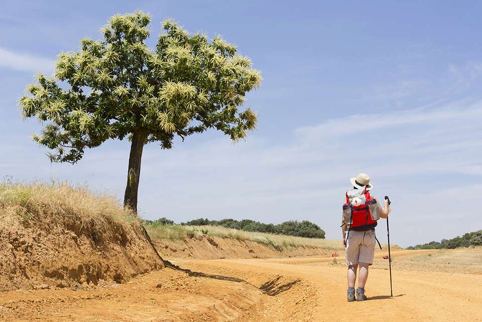 Walk the Camino de Santiago - Intrepid Travel - Spain - Image 5