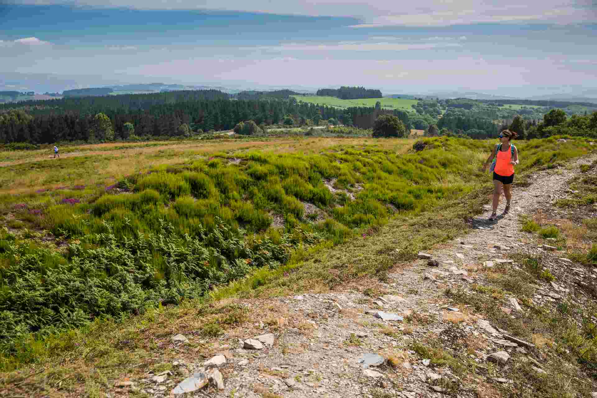 Walk the Camino de Santiago