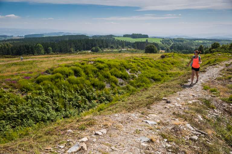 Walk the Camino de Santiago