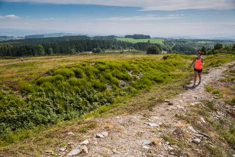 Walk The Camino De Santiago - August 2026