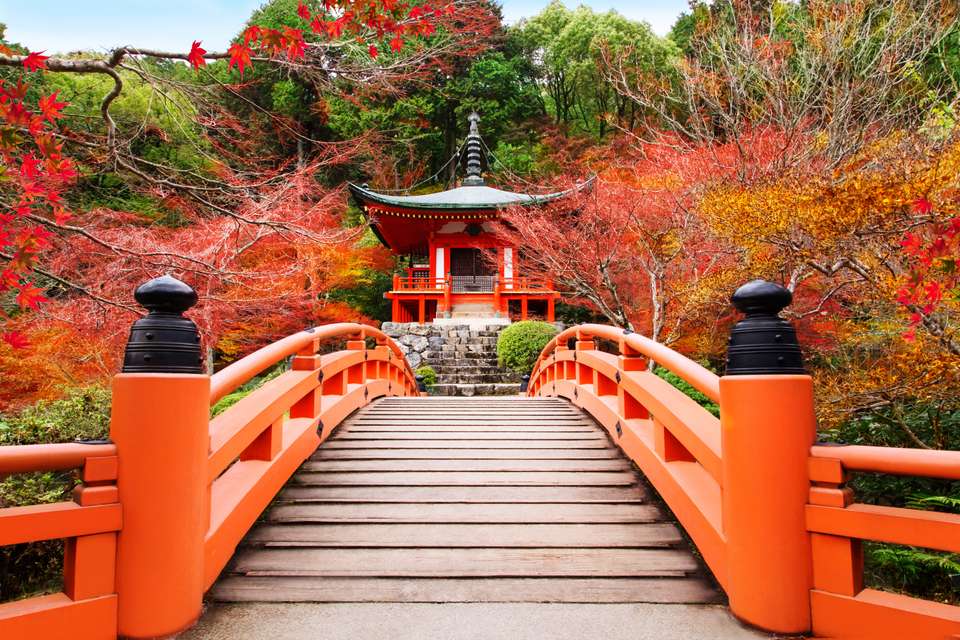 Walk the Kumano Kodo - Exodus Adventure Travels - Japan - Image 1