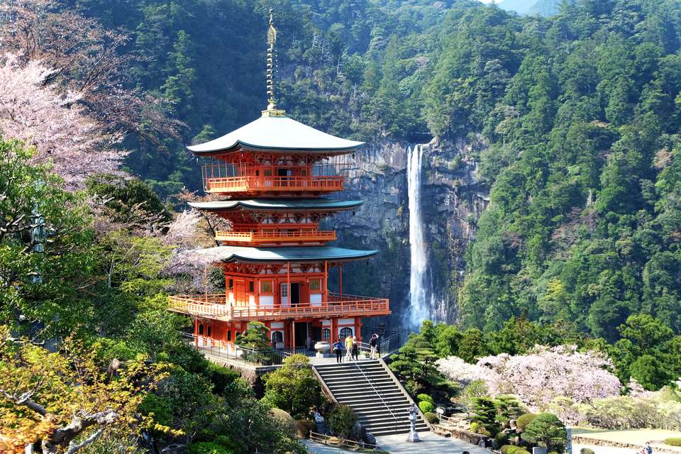 Walk the Kumano Kodo - Exodus Adventure Travels - Japan - Image 3