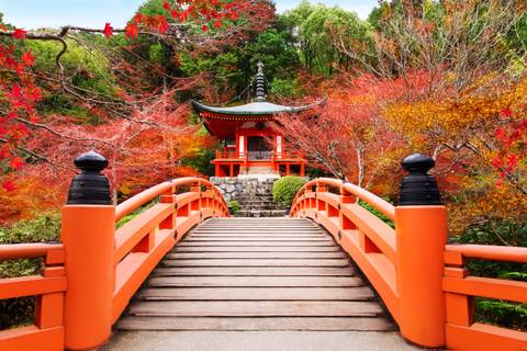 Walk The Kumano Kodo - October 2026