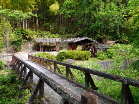 Walk The Nakasendo Trail - October 2026