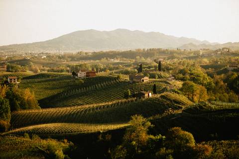Walk The Prosecco Hills & Hidden Venice