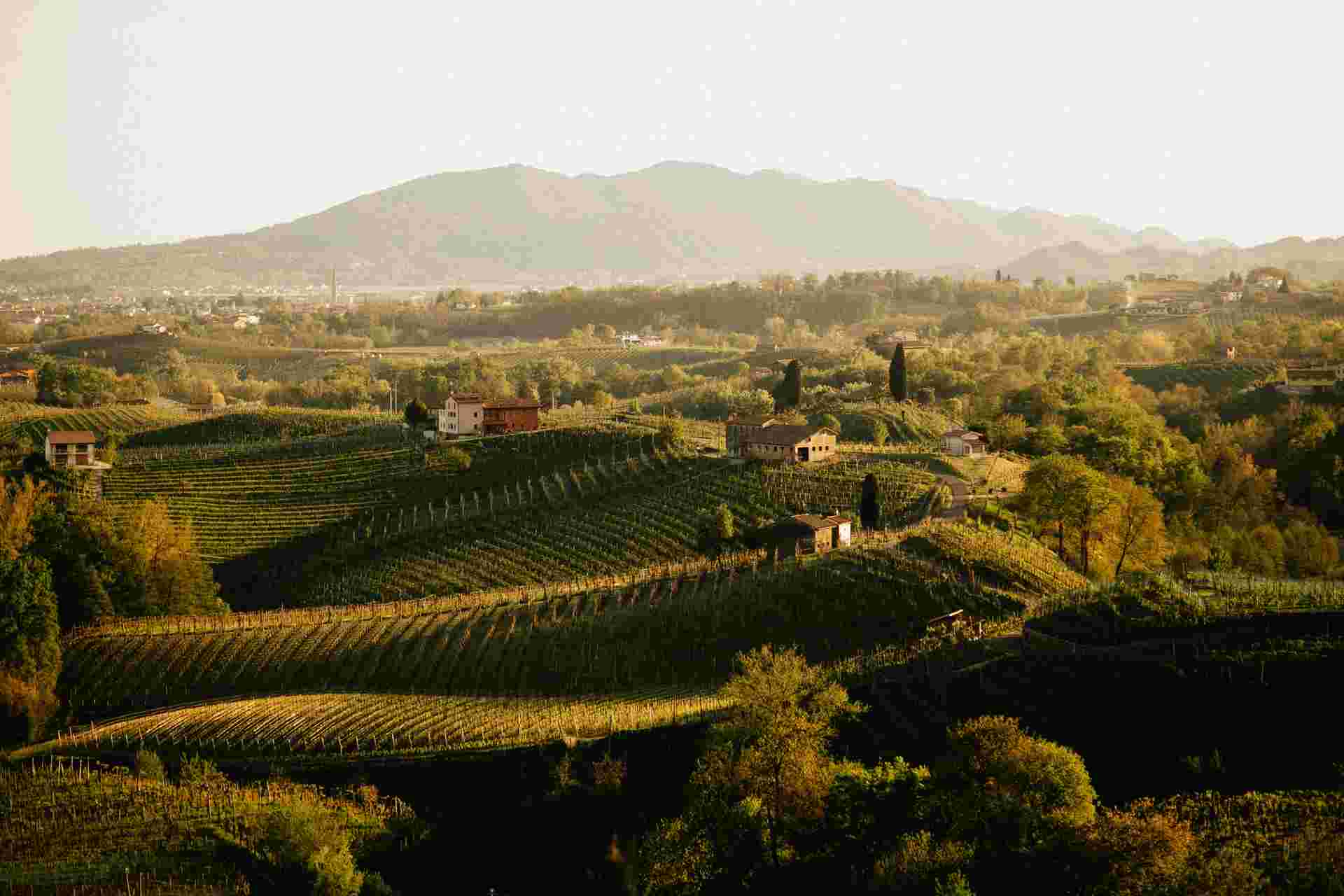 Walk The Prosecco Hills & Hidden Venice