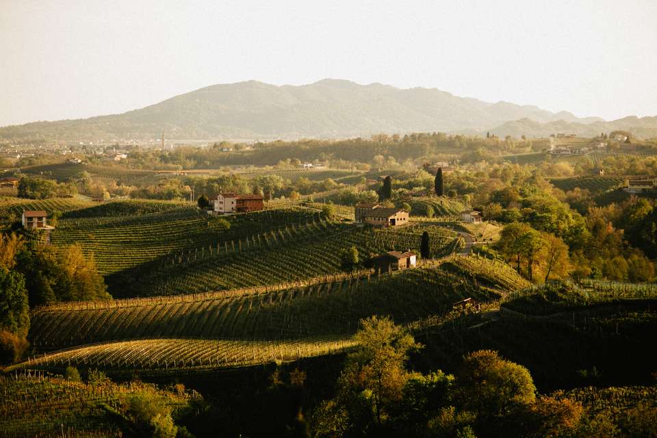 Walk The Prosecco Hills & Hidden Venice - Exodus Adventure Travels - Italy - Image 1