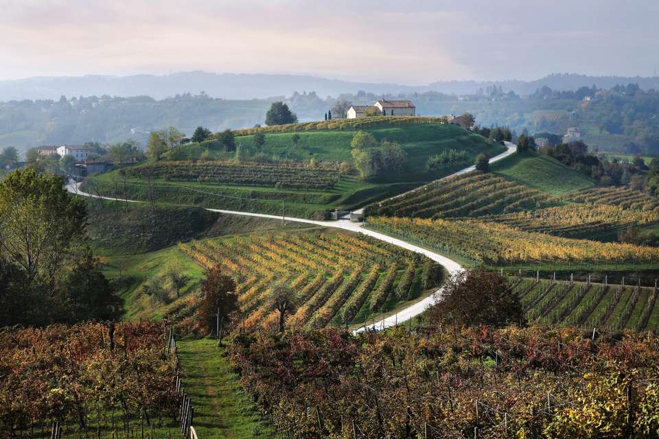 Walk The Prosecco Hills & Hidden Venice - Exodus Adventure Travels - Italy - Image 15
