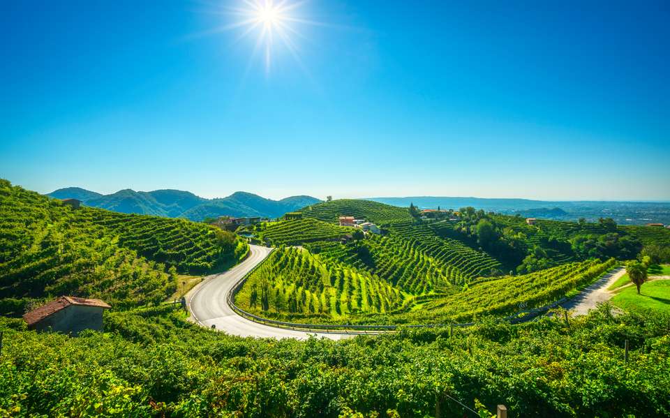 Walk The Prosecco Hills & Hidden Venice - Exodus Adventure Travels - Italy - Image 6