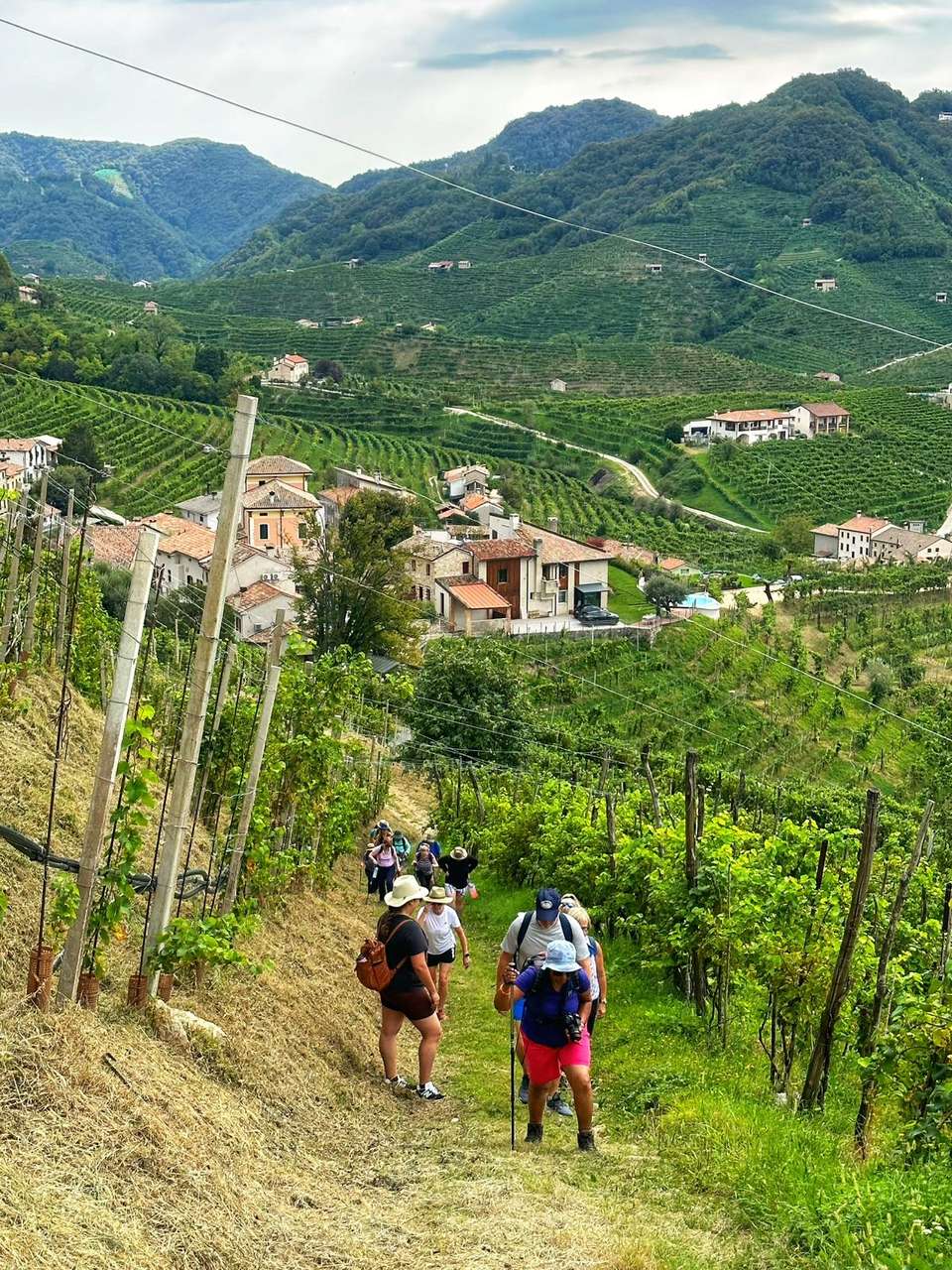 Walk The Prosecco Hills & Hidden Venice - Exodus Adventure Travels - Italy - Image 5