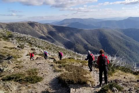 Oceania Small Group Tours: Walk Victoria's High Country