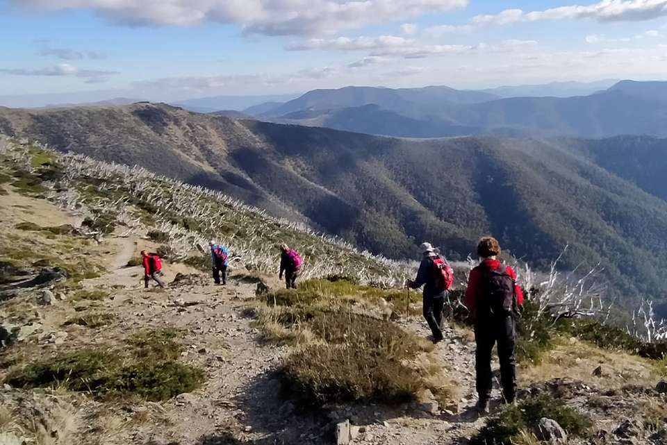 Walk Victoria's High Country - Intrepid Travel - Australia - Image 1