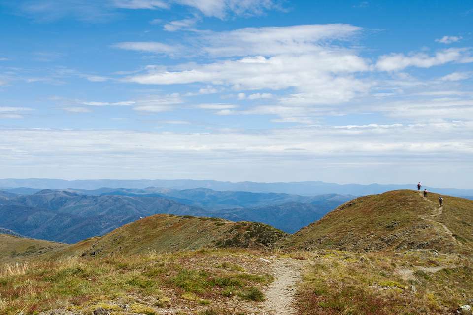 Walk Victoria's High Country - Intrepid Travel - Australia - Image 2