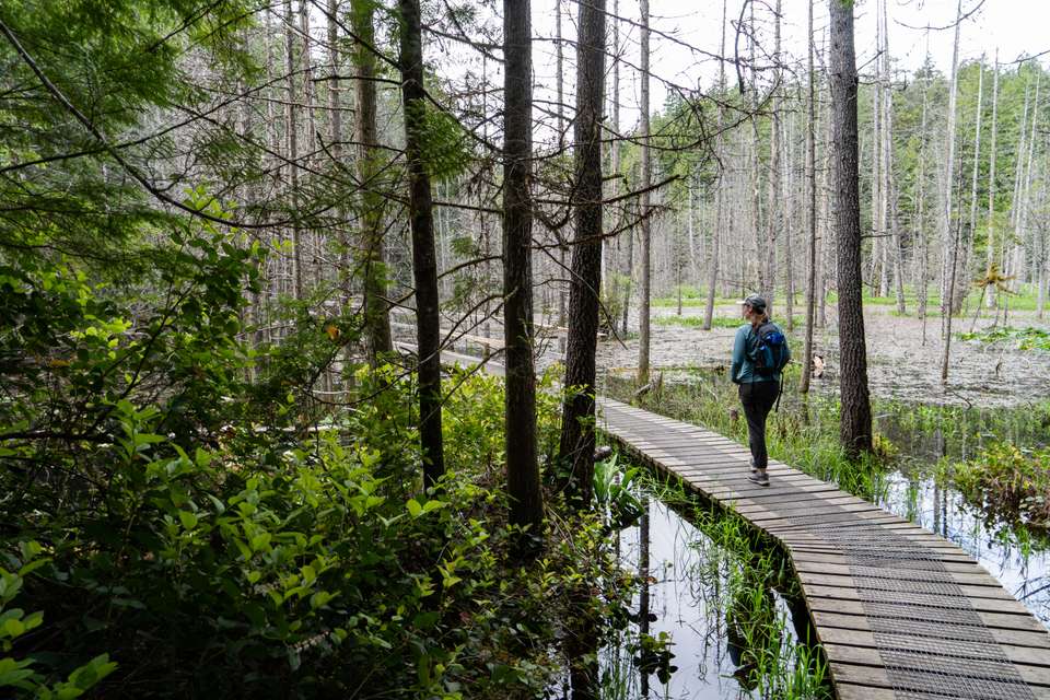 Walking Canada’s Sunshine Coast - Exodus Adventure Travels - Canada - Image 16