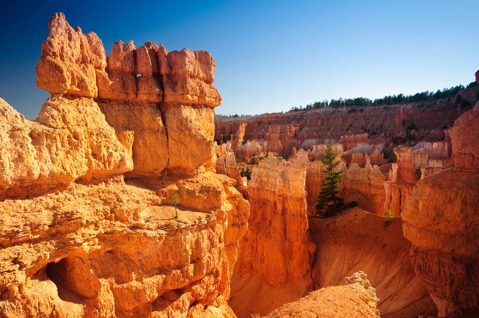 Walking in America's Canyons & National Parks - undefined - Image 11