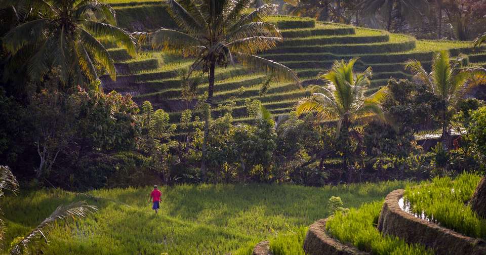 Walking in Bali and Lombok - Explore - Indonesia - Image 2
