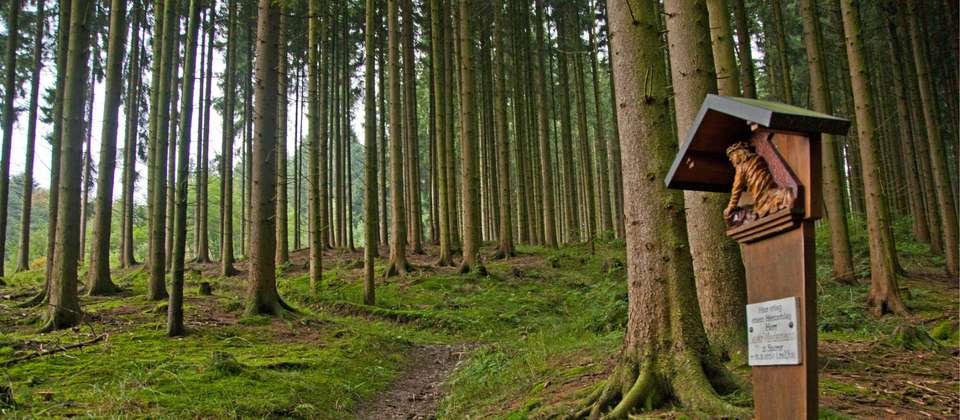 Bavaria: King Ludwig's Way - Walkers' Britain - Germany