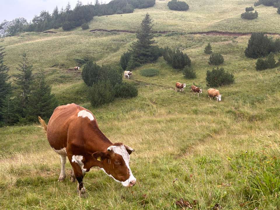 Walking in Bosnia & Herzegovina - Exodus Adventure Travels - Bosnia Herzegovina