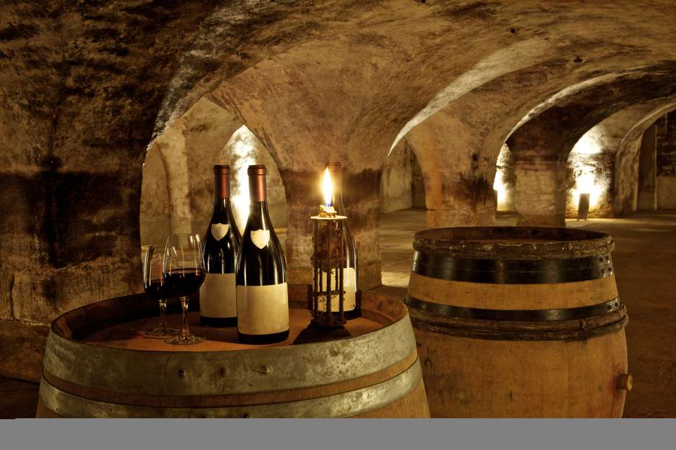 Walking in Burgundy's Vineyards - undefined - Image 3