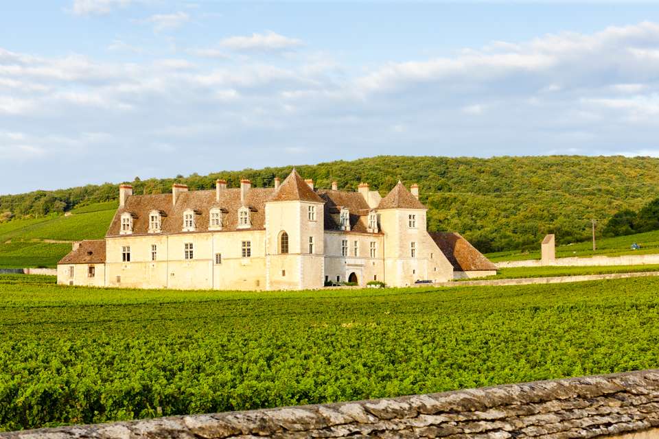 Walking in Burgundy's Vineyards - undefined - Image 4