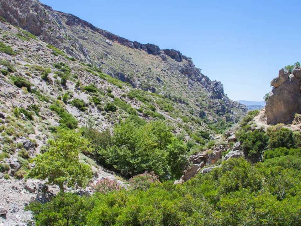 Walking in Crete - undefined - Image 3