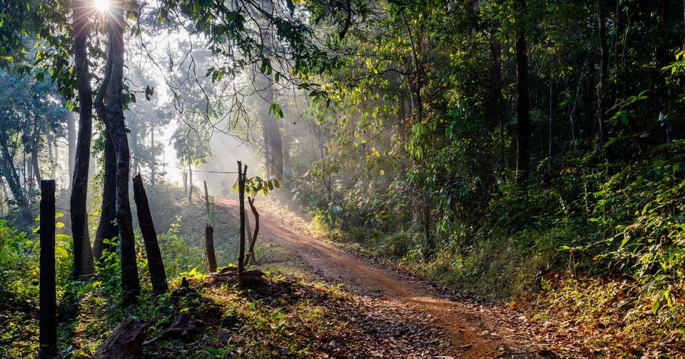Walking in Kerala - Explore - India - Image 12