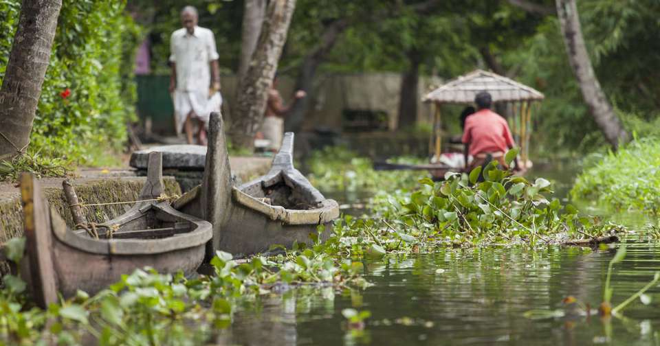Walking in Kerala - Explore - India - Image 13