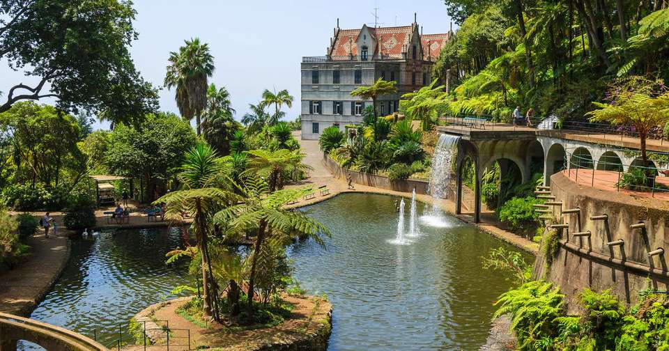 Walking in Madeira - Explore - Portugal - Image 8